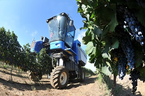 יקב רמת הגולן